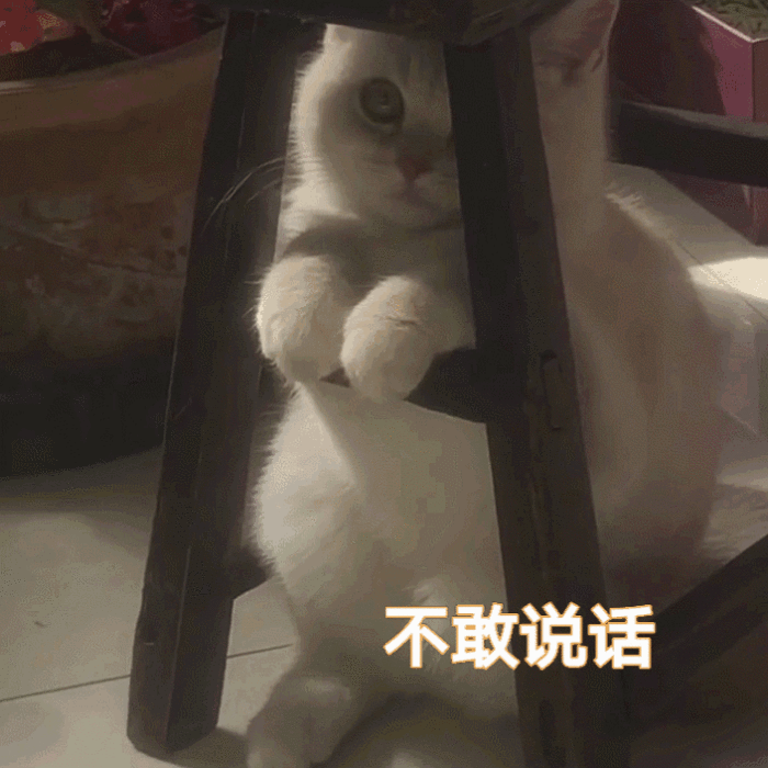 示例图片